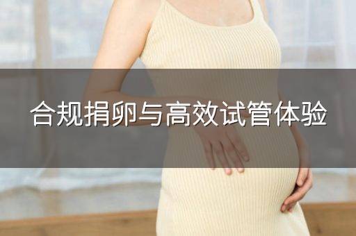 合规捐卵与高效试管体验