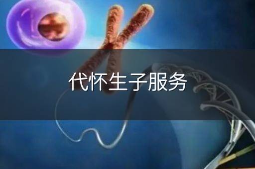 代怀生子服务