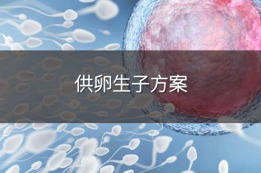 供卵生子方案