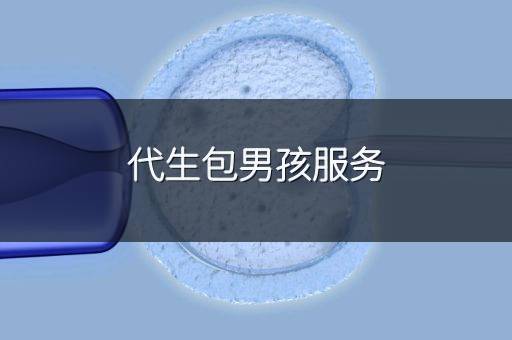 代生包男孩服务