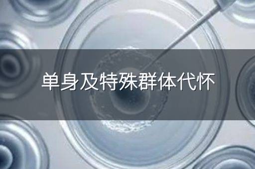 单身及特殊群体代怀