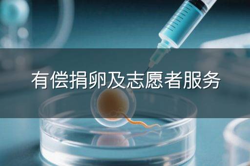 有偿捐卵及志愿者服务